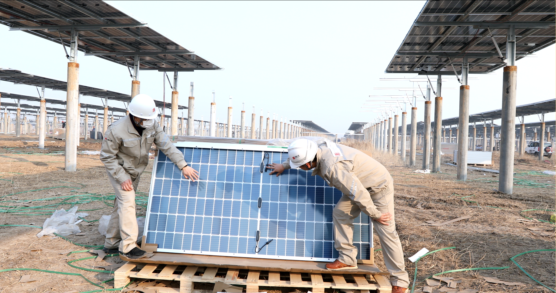 1662514357643090570.png eab58914c8ea6cd12936a4e98121986.png