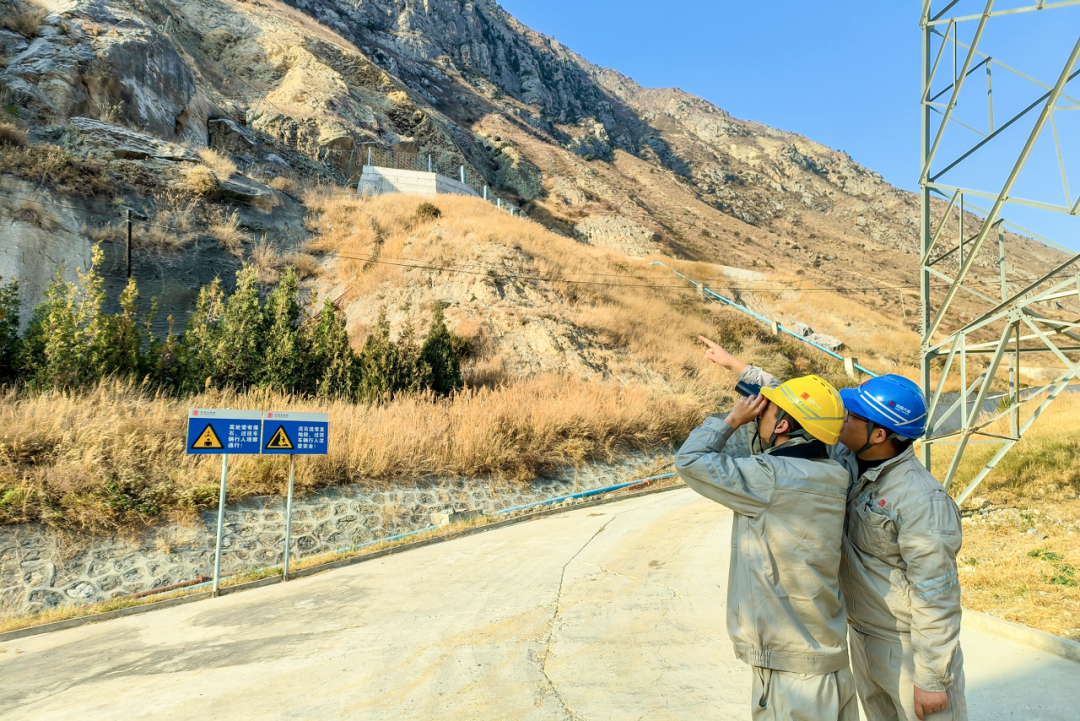 1703147295281067605.png W020231220474595127590.png