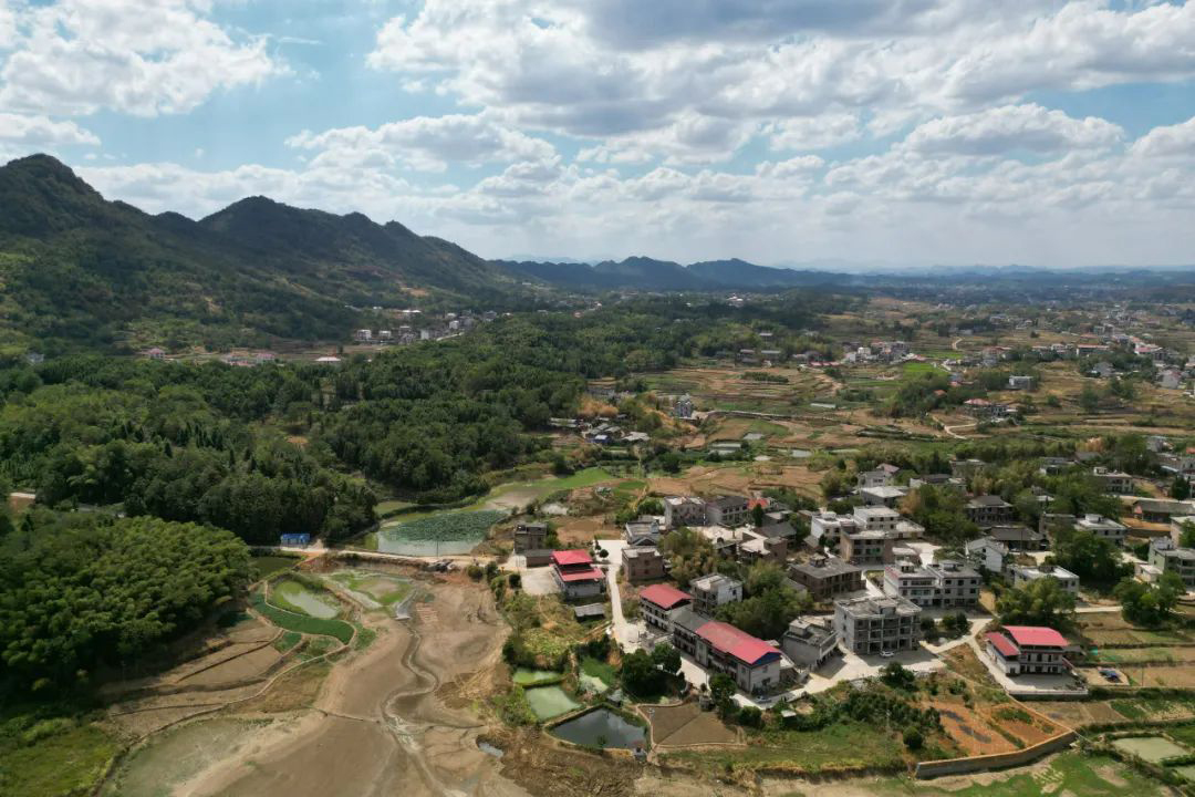 1713263348924035294.jpg 640d.jpg