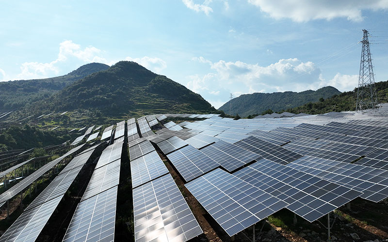 1728546551224058420.jpg 33.jpg